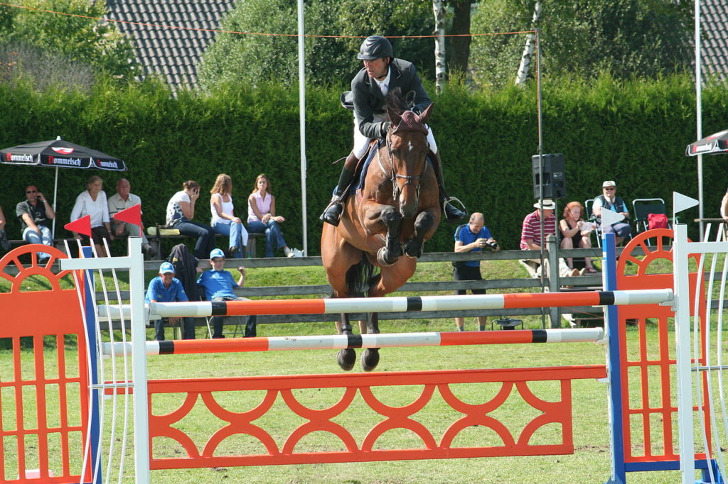 Valkenswaard 2017 LGCT